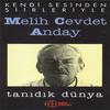 Anı - Melih Cevdet Anday&Esin Afşar