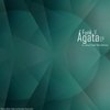 Agata (Aleeg Remix) - Funk V.