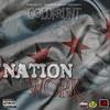 Blood in Blood Out (Explicit) - Coldfrunt&Big Stone&PK