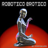 Robotica Erotica (Extended Mix) - PapaOurs&Dj B’Oli Wood