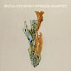 Reminder(arr. Bill Stevens) - Becca Stevens&Attacca Quartet