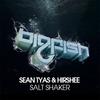 Salt Shaker (Original Mix) - Sean Tyas&Hirshee