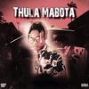 Thula Mabota (feat. Milo Deep, Amzin Deep, Visto dah vocalist & Vellem) - Frenzy Bouy&Milo Deep&Amzin Deep&Visto Dah Vocalist&Vellem