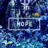 Hope - Turtle