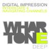 Navigating Channels (Original Mix) - digital Impression