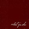 What You Do - Zan&the Winter Folk