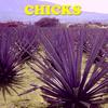 Mulata Rumbera - Compay Quinto