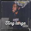 Ting Large (Explicit) - Webba