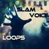 Loops - Slam Voice