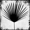 Regarde moi plus(feat. Volte) (Explicit) - Nydrix&Volte