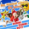 Am Himmel scheint die Sonne (Karneval 2014 Mix) - Remmi Demmi Boys