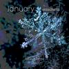 January - DeeBizness