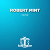 Diver (Radio Mix) - Robert Mint