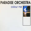 Colour Me (The Theme) - Paradise Orchestra