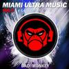 Hit The Floor (Original Mix) - Ironic Project