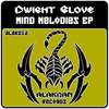 Tequila & Salt (Original Mix) - Dwight Glove