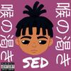 Sed (Explicit) - Bixnan