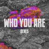 Who You Are - SENES