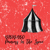 My Place in the Space (Kapoor Dark Side of the Moon Remix) - DIBIDABO