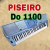 piseiro do 1100 - Karrera