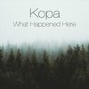 What Happened Here - kopa