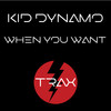 When You Want (Original Mix) - Kid Dynamo