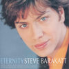 Day by Day - Steve Barakatt