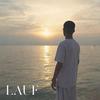 LAUF (Explicit) - SESA