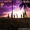 Future Disco (Original Mix) - L.D. Houctro