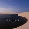 Wet Desert - Vasily Dvortsov
