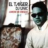 Amor de Cheque - El Taiger&DJ Unic