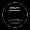 The First The Last My Everything (Original Mix) - Command Strange