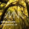 Hertek (Original Mix) - Darkbraham