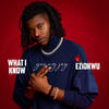 What I Know - Young Jay