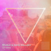 Runaway - Davis Mallory&Revelz