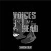 Voices in My Head (Explicit) - SHADOW ON THE BEAT