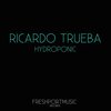 Hydroponic (Bass Anwhaaa Remix) - Ricardo Trueba