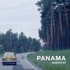 Always (Wave Racer Remix) - Panama