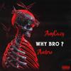 Why Bro (Explicit) - elCazy