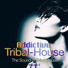 Solution (Extended Tribal Mix) - Mr Gonzo