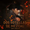 Dos Botellas De Mezcal - Raul Casillas