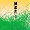 楊花 - 郑怡