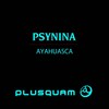 On *** - PsyNina