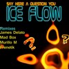 Say Here A Question You (Original Mix) - Ice Flow