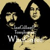 Holy Water - WhoCares