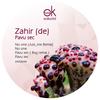 No One (Original Mix) - Zahir (De)
