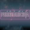 Perreomicina (feat. Dj Free) - Raldy Rm&Dj Free