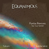 Pumba(feat. Evan Hatfield) (Subtle Mind Remix) - Equanimous&Evan Hatfield&Subtle Mind