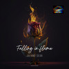 Falling in Flame - Juliano Silva