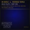 Hello Pluto (Zero Gravity pres Stella Remix) - Dr Riddle&Moonrise Temple&Zero Gravity pres Stella